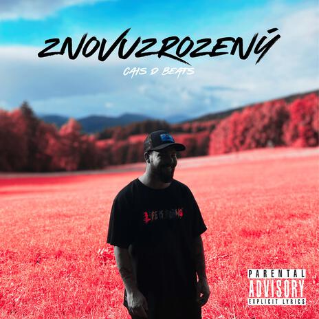 NEBE PLNÝ HVĚZD cover art