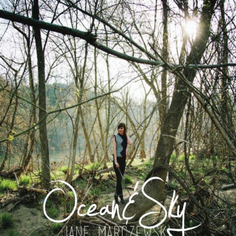 Ocean and Sky