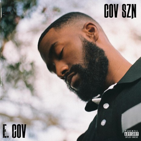 REASONS. cover art