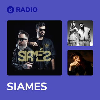 SIAMES Radio