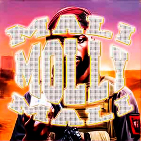 mali mali molly ▄︻┻┳═一 ✦ ✦ ✦ cover art