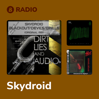 Skydroid Radio
