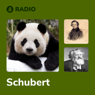 Schubert Radio