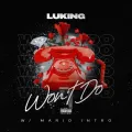 Luking Won’t Do W / Mario Intro