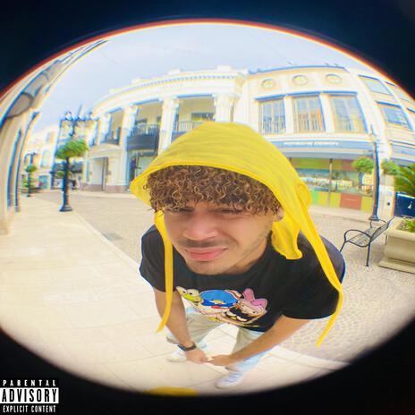 Frame cover art