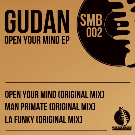 La Funky (Original Mix) cover art