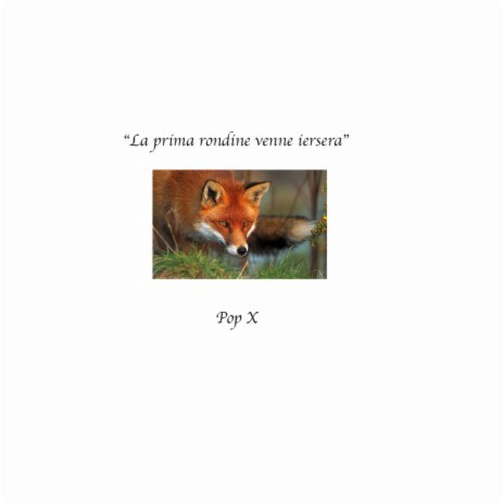 La Prima Rondine Venne Ier Sera cover art