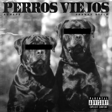 Perros Viejos ft. Franky Style cover art