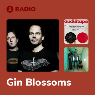 Gin Blossoms Radio