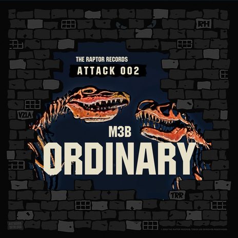 ORDINARY cover art
