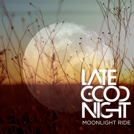 Moonlight Ride