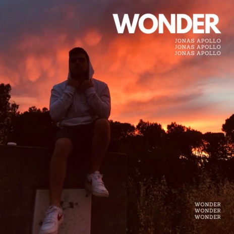 Wonder cover art