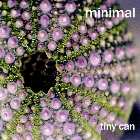 Tiny Dub 2 ft. Minimal