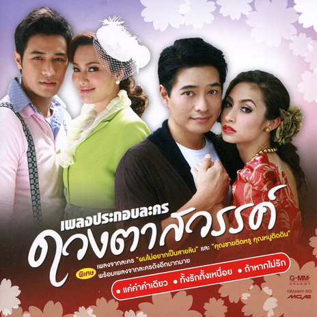 ทั้งรักทั้งเหนื่อย (เพลงประกอบละคร 365 วันแห่งรัก) cover art