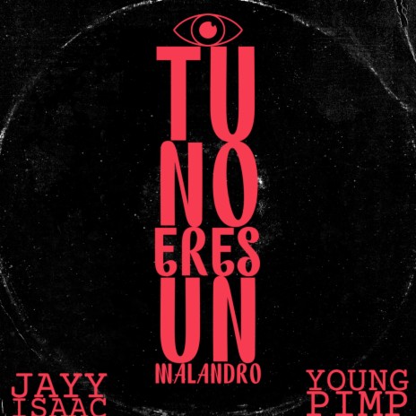 Tu No Eres Un Malandro ft. Young Pimp cover art