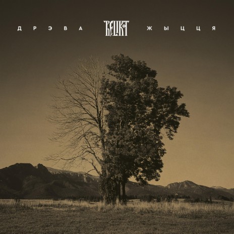 Дзеўкі cover art