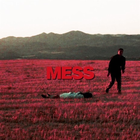 Mess cover art