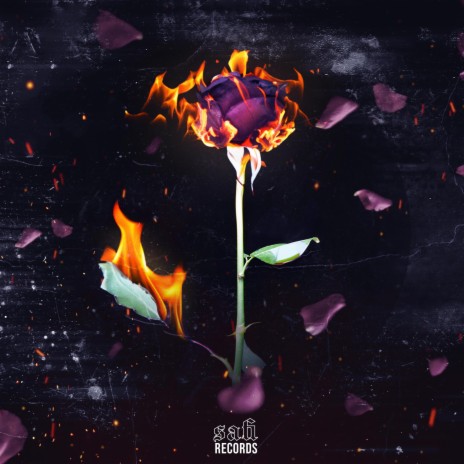 Du Suchst (Du Du Du) cover art