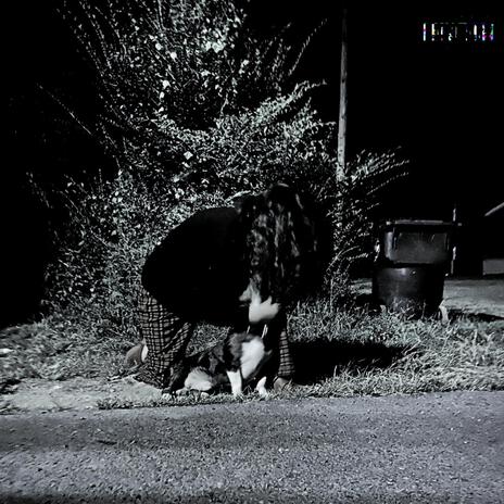 veins cover art