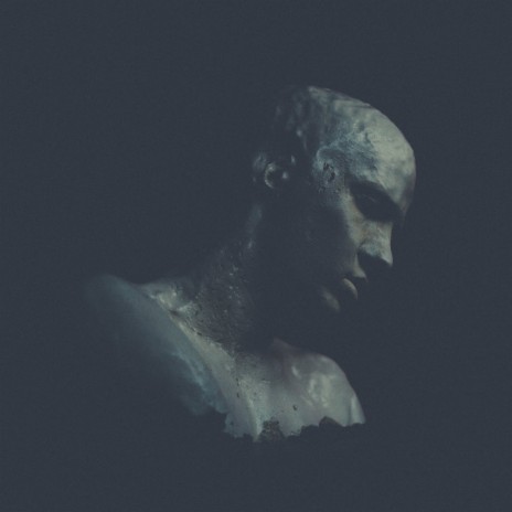 Reshape