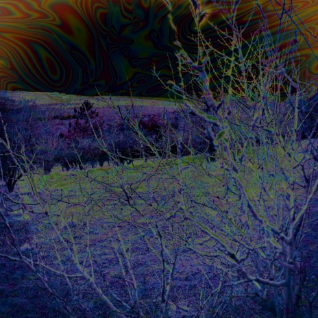 ARID ft. ARCD cover art