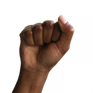 TT Trims (Black Lives Matter Version)