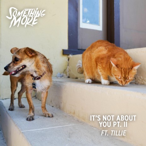 It's Not About You Pt. II ft. tiLLie cover art