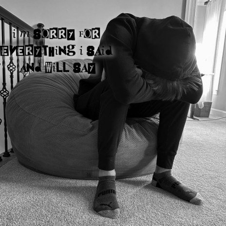 im sorry cover art