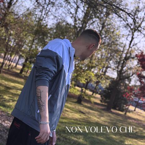 Non volevo che ft. Mike Ross cover art