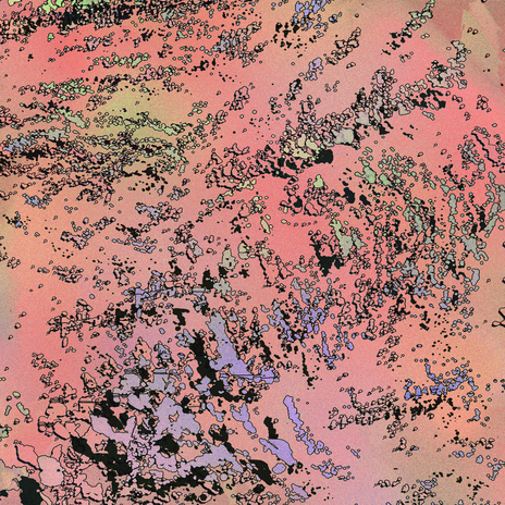 fort3_2 cover art