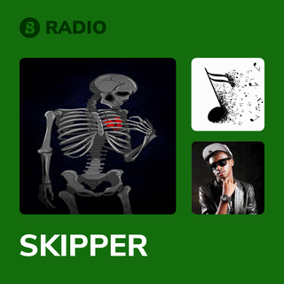 SKIPPER Radio