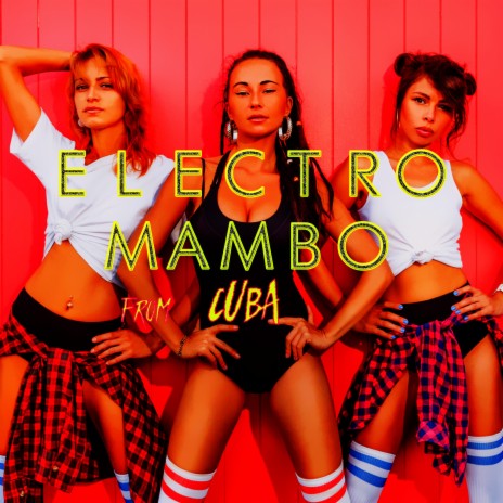 Para Amarte Naci ft. El Maestro VI cover art