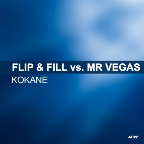 Kokane (Kenny Hayes Radio Edit) ft. Mr. Vegas cover art