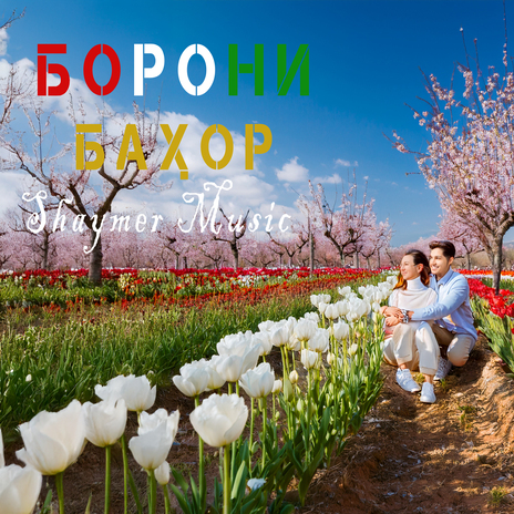 Борони Баҳор