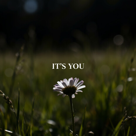 It's You cover art