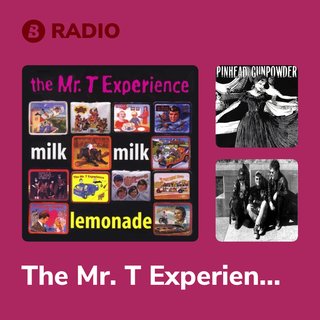 The Mr. T Experience Radio