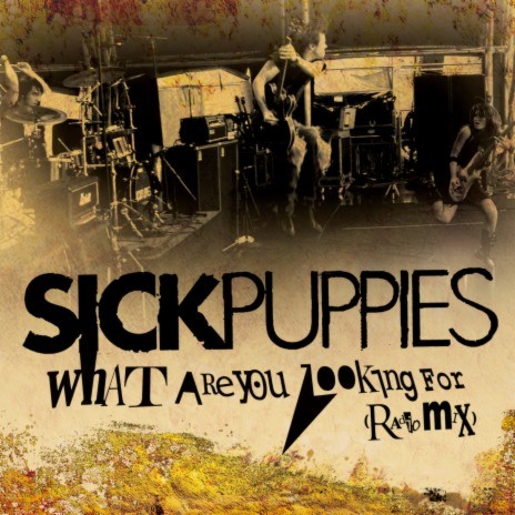What Are You Looking For (Radio Mix) cover art