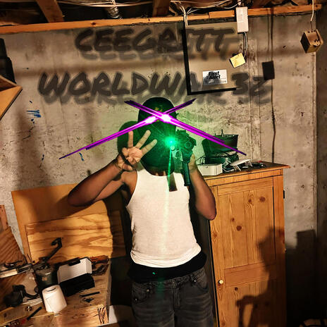 We$$ide Soldier cover art