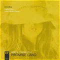 Promise Land (Radio Edit) ft. Carrick & JJ