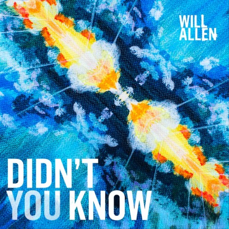 Didn't You Know cover art