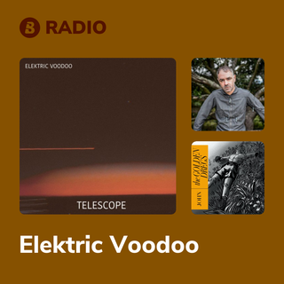 Elektric Voodoo Radio