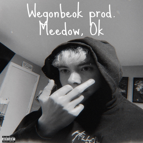Wegonbeok