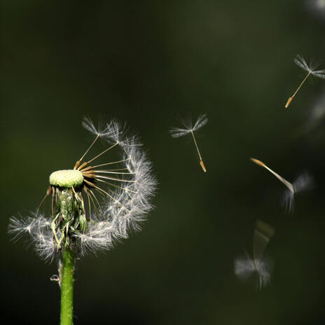 Come Fly With Me