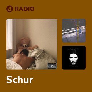 Schur Radio