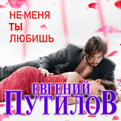 Не меня ты любишь cover art