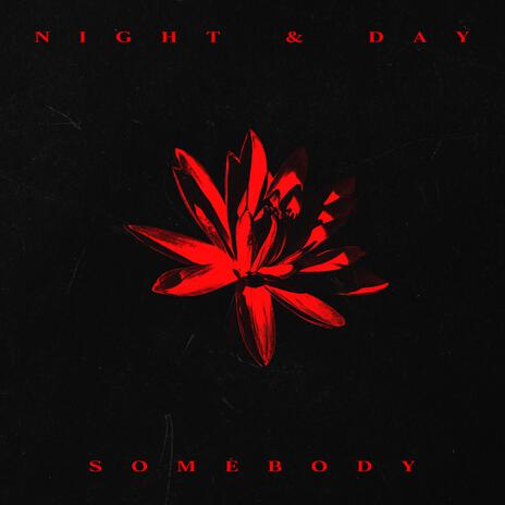 Night & Day cover art