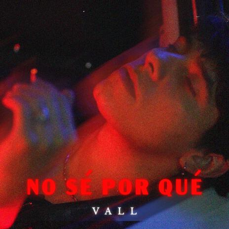 NO SÉ POR QUÉ