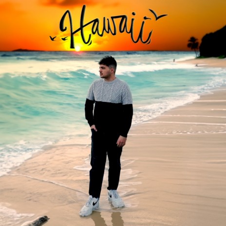 hawaii cover art