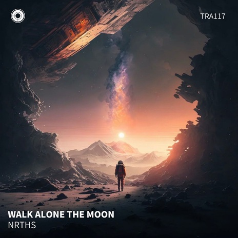 Walk Alone the Moon ft. Trailblazers Radar cover art