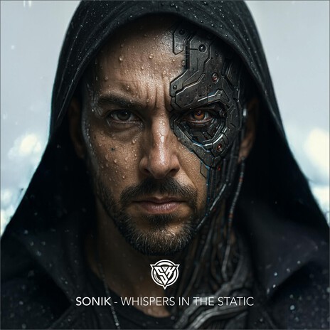 Whispers in the static cover art